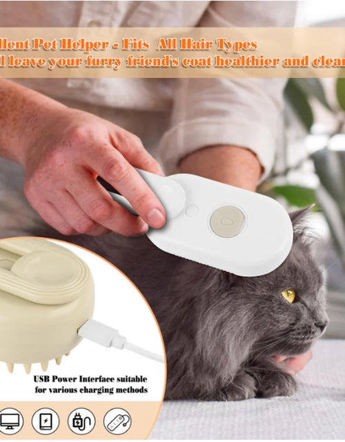 Load image into Gallery viewer, 3 in 1 Updated Self Cleaning Cat Steamer Brush - Self Cleaning Steamy Cat Brush with Massage Sheding for Cats Dogs
