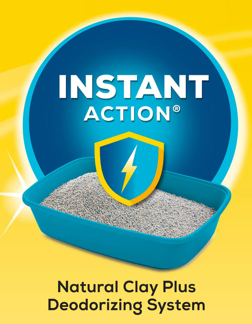 Load image into Gallery viewer, Purina  Instant Action Clumping Cat Litter, Floral Scent, 35 Lb Pail
