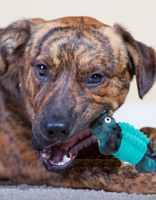 Load image into Gallery viewer, Dog Toys for Aggressive Chewers,Indestructible Dog Toys,Durable/Tough Dog Chewing Toys for Large Breed,Blue
